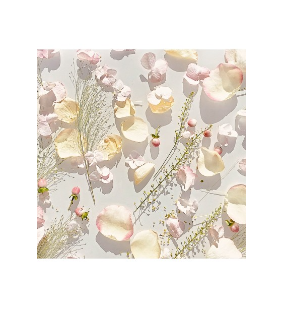 ROYAL MUSKA.... ROYAL MUSKA....