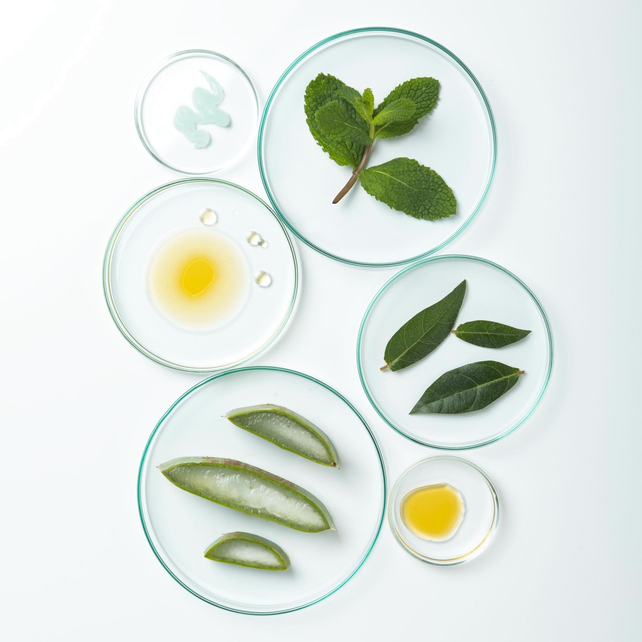 dentifricio-sbiancante-biologico-da-viaggio-50ml-compagnie-de-provence-italia-cppf0119de050bl-13 dentifricio-sbiancante-biologico-da-viaggio-50ml-compagnie-de-provence-italia-cppf0119de050bl-13