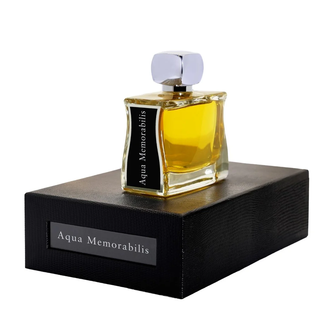 aqua_memorabilis_2_1100x aqua_memorabilis_2_1100x