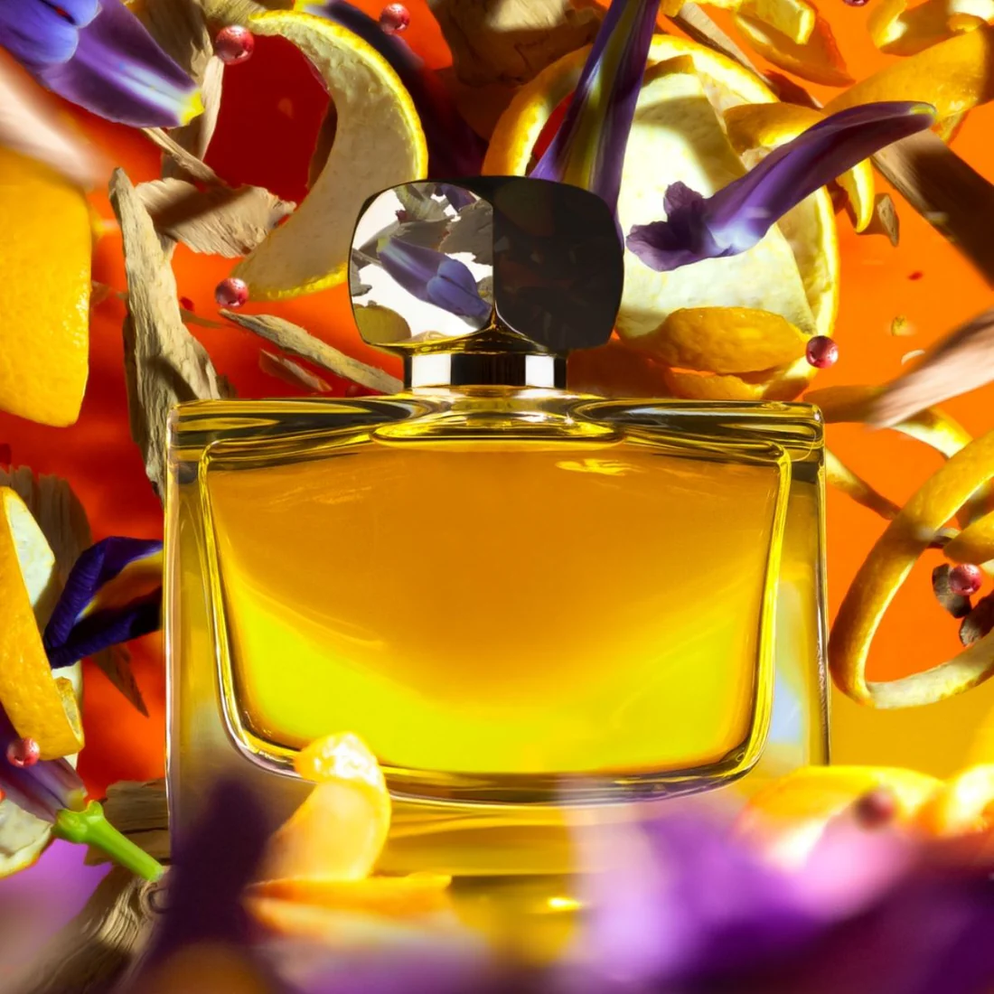 aqua_memorabilis_3_1100x aqua_memorabilis_3_1100x